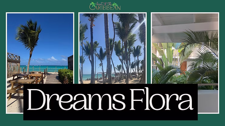 Dreams Flora Punta Cana
