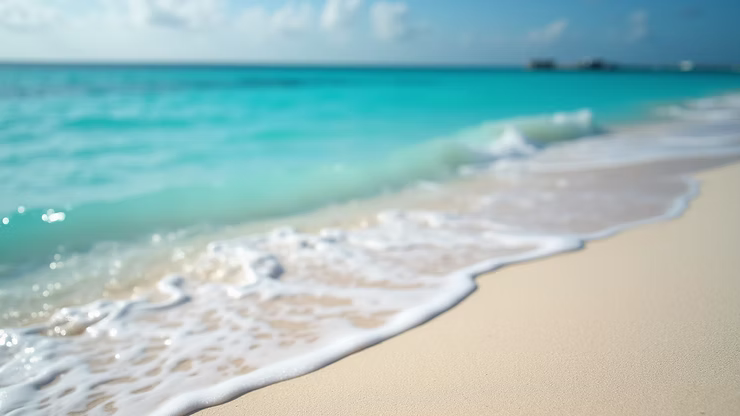 A private beach view perfect for proposals